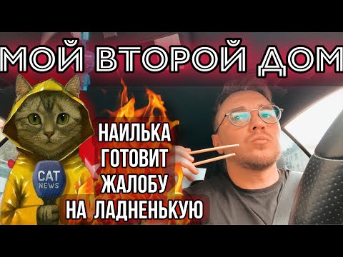 Видео: Выбран ПОБЕДИТЕЛЬ 💰 Наилька ее не любит ;((( опять 🤥 вранье 🤥😂😂😂