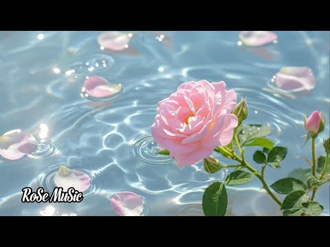 Видео: Мелодии, исцеляющие душу🌺Прекрасные мелодии, доводящие до слёз🌿Мелодии Сергея Грищука #1