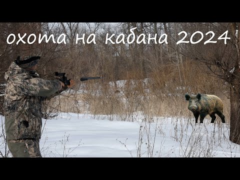 Видео: охота на кабана с подхода в  Малиновке