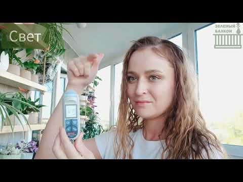 Видео: 🟣🟢 Фикус ЛЫСЕЕТ НЕСПРОСТА: ПЯТЬ ГЛАВНЫХ ПРИЧИН