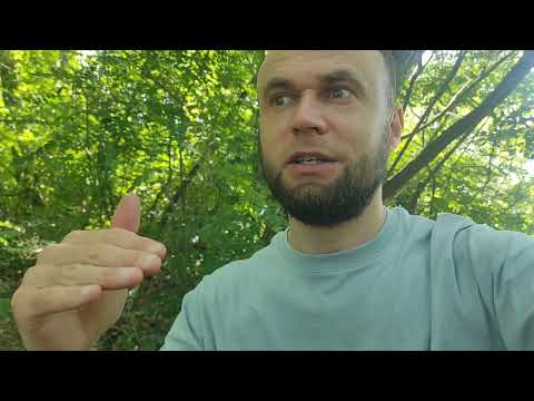Видео: Нужна ли мне моя коллекция CD и кассет? Мои откровения