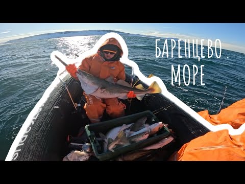 Видео: Рыбалка в Арктике.