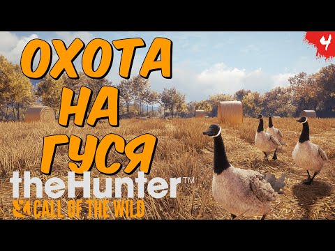 Видео: theHunter Call of the Wild #4  - Охота на Гуся - Канадская Казарка