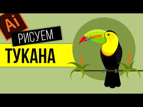 Видео: КАК НАРИСОВАТЬ ТУКАНА. ПРОГРАММА ВЕКТОРНОЙ ГРАФИКИ ADOBE ILLUSTRATOR.