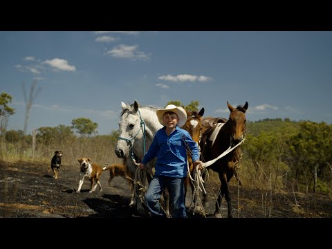Видео: (Сезон 1 - Э2) «Стоуни-Крик»
