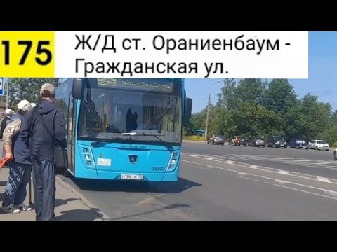 Видео: Автобус 175. Ж/Д ст. Ораниенбаум - Гражданская ул.