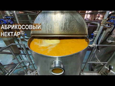 Видео: Производство абрикосового нектара. Кикунинский консервный завод.