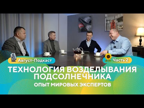 Видео: Часть 2. Прогнозы на 2025 г. Технология возделывания подсолнечника.  | Август-Подкаст #подсолнечник
