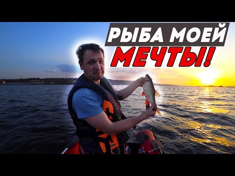 Видео: НЕОЖИДАННАЯ ПОКЛЁВКА НА РЫБАЛКЕ В ПОСЛЕДНИЙ ДЕНЬ ЛЕТА.  Рыбалка на Волге.