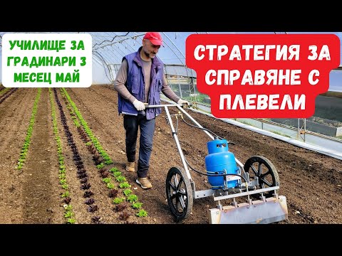 Видео: Стратегия за справяне с плевели - Училище за градинари 3