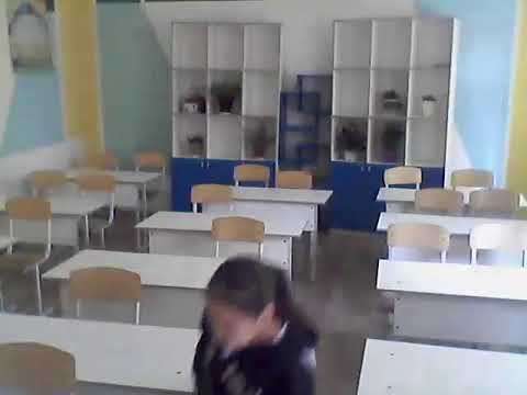 Видео: тарих олимпиада