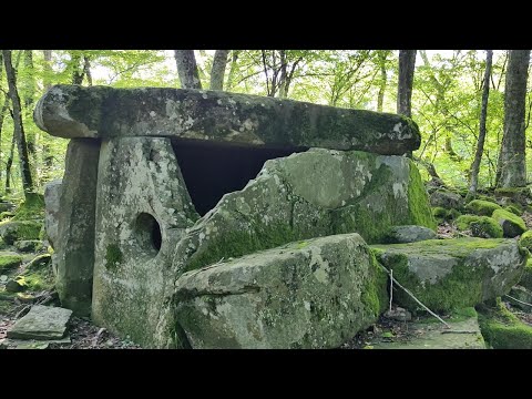 Видео: Видео 36 - Дольмен-МОНИТОР (Полковничий)