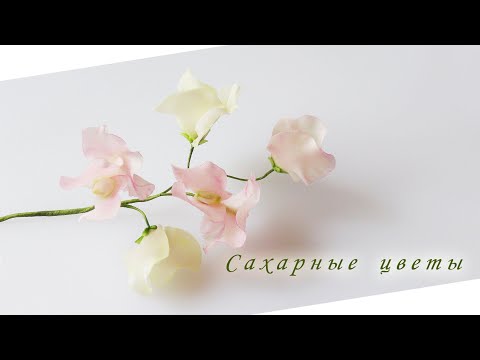 Видео: Душистый горошек из сахарной мастики Sweet peas from sugar fondant البازلاء الحلوة من السكر