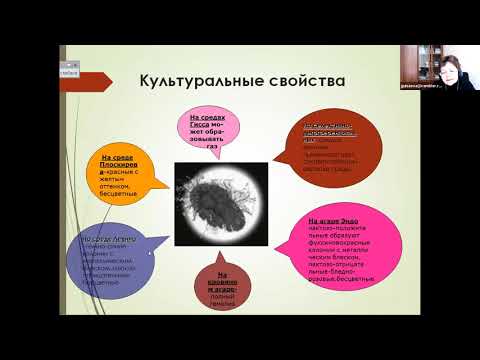 Видео: Л. Т. Баязитова. Энтеробактерии.
