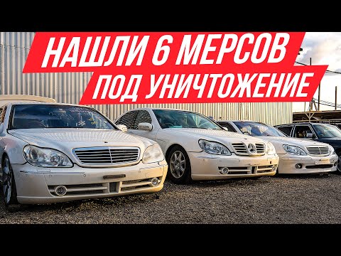 Видео: Нашли кучу S-Классов W220 в идеале, их не спасти! Мерседесы японских мажоров #ДорогоБогато Mercedes