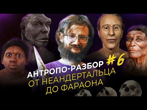 Видео: От неандертальца до фараона. Станислав Дробышевский. #Антропоразбор 6