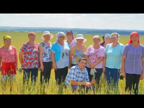 Видео: СХПК Янгорчино