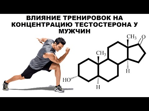 Видео: лекция: ВЛИЯНИЕ ТРЕНИРОВОК НА КОНЦЕНТРАЦИЮ ТЕСТОСТЕРОНА У МУЖЧИН