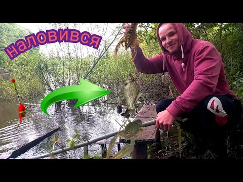 Видео: Раки і карасі, дуріють в травні на цее...