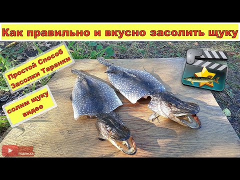Видео: Как правильно и вкусно засолить щуку. Как Солить и Сушить РЫБУ. Простой Способ Засолки Таранки.