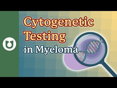 Видео: Чем цитогенетическое тестирование при миеломе отличается от генетического тестирования, используе...