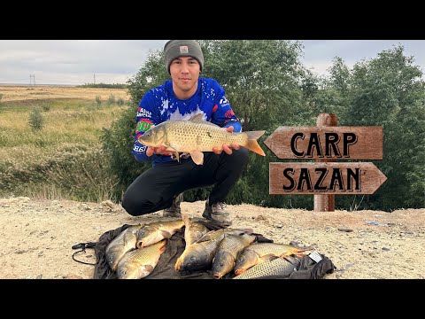 Видео: Тастақ көлінде қырғын болды