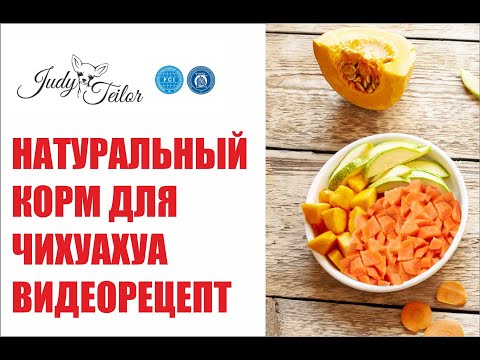 Видео: Чем кормить чихуахуа? Рецепт натурального корма для чихуахуа. Правильное питание чихуахуа