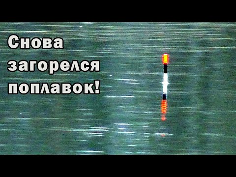 Видео: Ловля плотвы на поплавок в ноябре - неслабая рыбалка