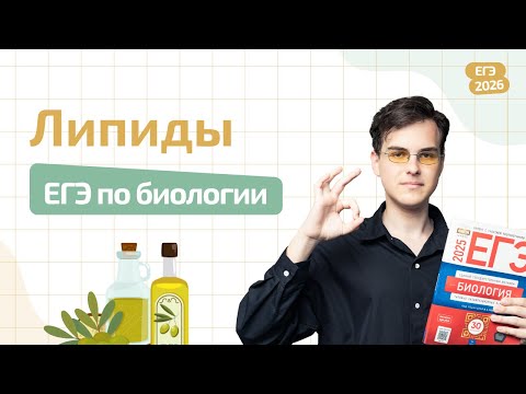 Видео: ЛИПИДЫ | ХИМИЯ КЛЕТКИ | ЕГЭ ПО БИОЛОГИИ