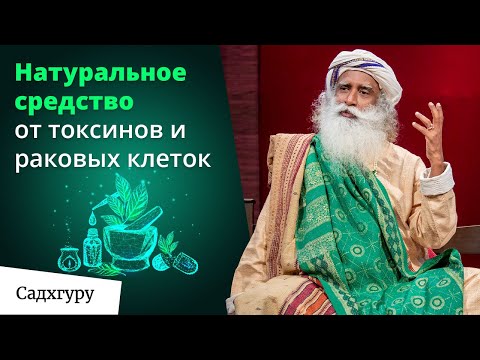 Видео: Как все время быть бодрым и энергичным и не засыпать на ходу?