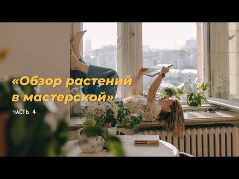 Видео: Обзор растений в мастерской. Часть 4