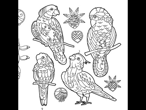 Видео: Друзья, я вернулась. Первый полезный урок - стиль Coloring Book