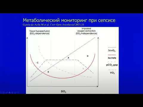 Видео: Септический шок - что нового?  Киров М.Ю. 2022