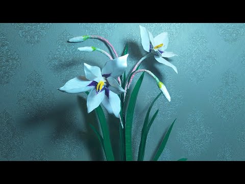 Видео: Ацидантера из пластиковых бутылок. Мастер класс.