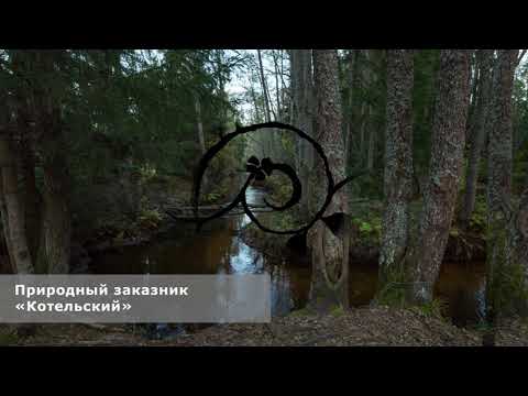 Видео: 02. При движении вдоль Копорской губы до щита «Леса»