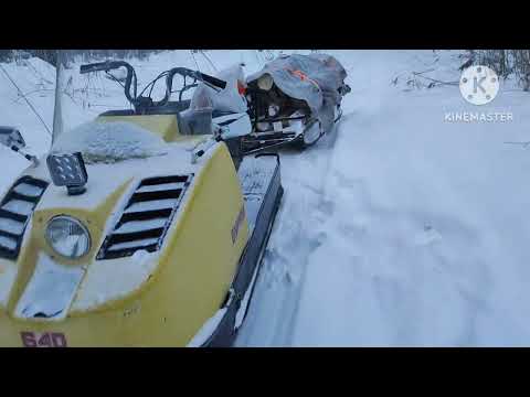 Видео: Лес, костёр, Покатухи на буране.