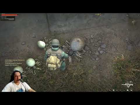 Видео: Выполнил задание: Зачистка леса. Stalker Online. Stay out. (Сталкер онлайн)