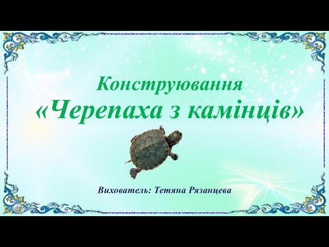 Видео: Конструювання «Черепаха з камінців»