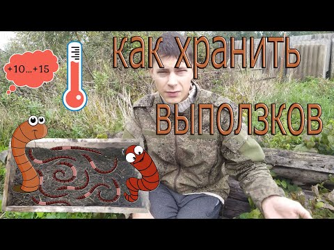 Видео: Как хранить выползков,Чем кормить, Что нужно делать, чтобы выползки не умирали, Сколько нужно грунта