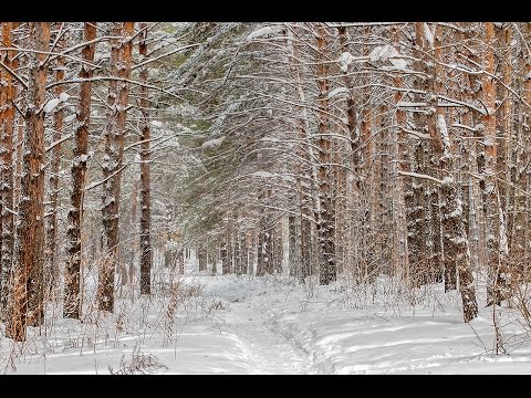Видео: Линда-Боль