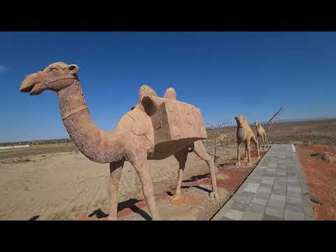 Видео: 26 серия Велопутешествие по Узбекистану 2022