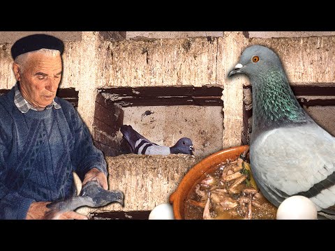 Видео: Голубятники. Разведение голубей для еды и использование их помета в качестве удобрения