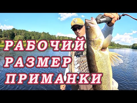 Видео: Какой РАЗМЕР ПРИМАНКИ лучше ЛОВИТ! Жаркая погода не даёт рыбе клевать.