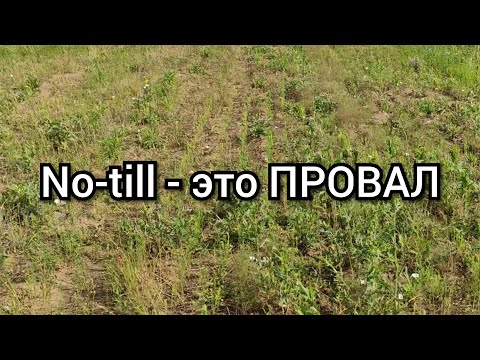 Видео: Ноутилл это провал!!!??