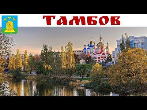 Видео: ТАМБОВ - волков уж нет, а пчёлы спят - дело к зиме