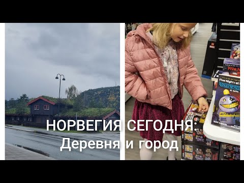 Видео: Контрасты Норвегии. Ресторан в городе и кафе в горном селе.
