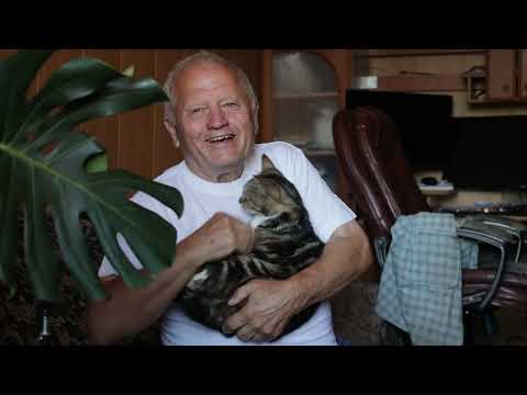 Видео: Как я выращиваю огурцы по Распопову. 3 срока посадки. Регенеративные приемы и Мурик.