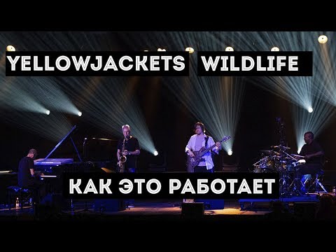 Видео: Как это работает - WildLife (Полиметрия на практике)