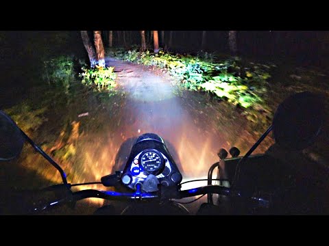 Видео: НЕПОНЯТНОЕ СУЩЕСТВО ВСТРЕТИЛ В ЛЕСУ