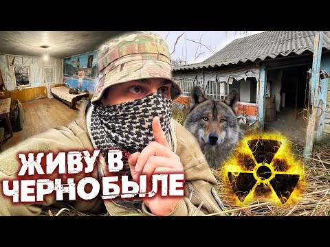 Видео: Ремонт убежища сталкеров в Чернобыле. Волки рвутся в дом. Грибной суп по сталкерски